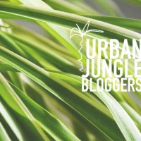 Urban Jungle Bloggers | Plant Selfie